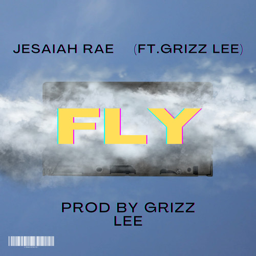 FLY (Explicit)