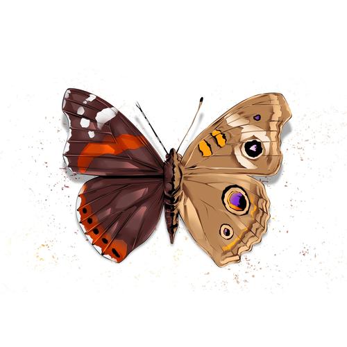 A Monarch's World IV