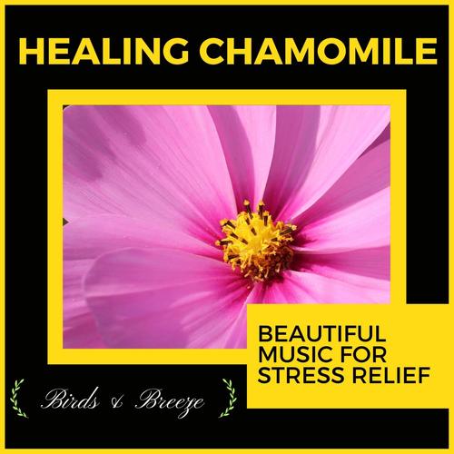 Healing Chamomile - Beautiful Music For Stress Relief