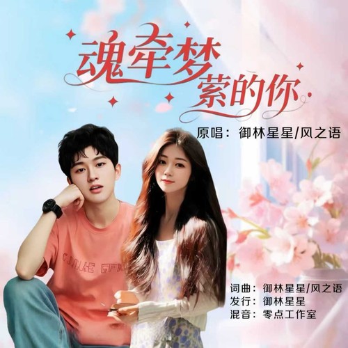 魂牵梦萦的你（对唱版）