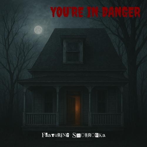 You're In Danger (feat. Showrocka)