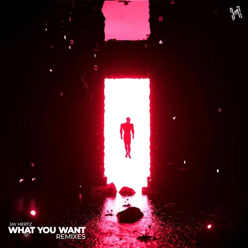 What You Want (Remixes)