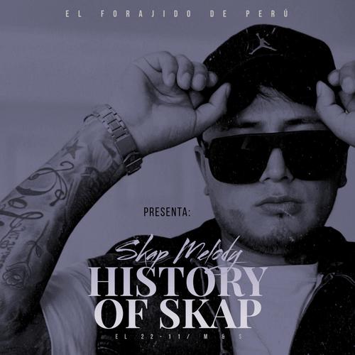 HISTORY OF SKAP
