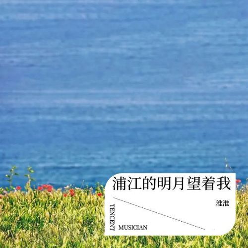 浦江的明月望着我