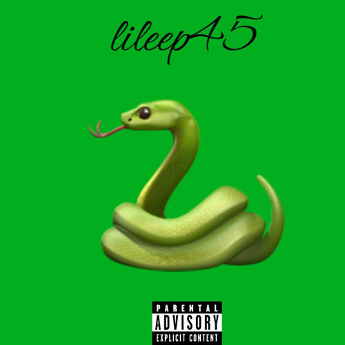 Snake (Explicit)