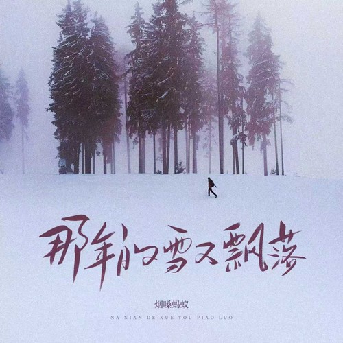 那年的雪又飘落