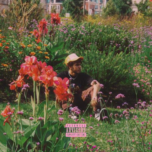 6 Attachments (Explicit)