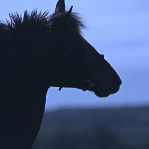 Le Cavalier sans tête (Explicit)