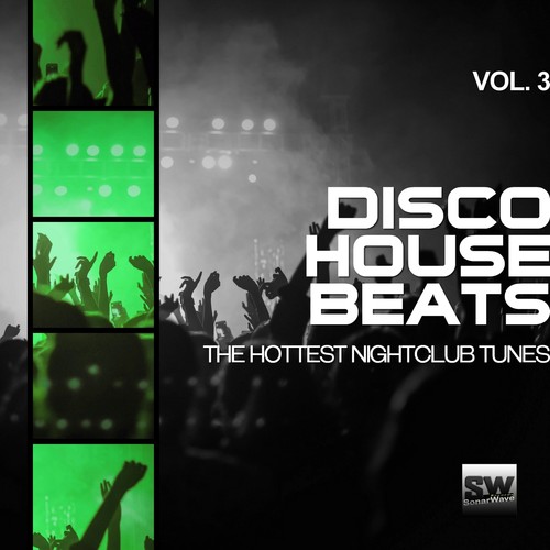 Disco House Beats, Vol. 3 (The Hottest Nightclub Tunes)