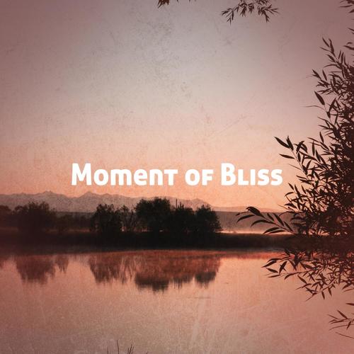 Moment of Bliss
