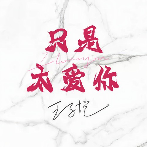 只是太爱你
