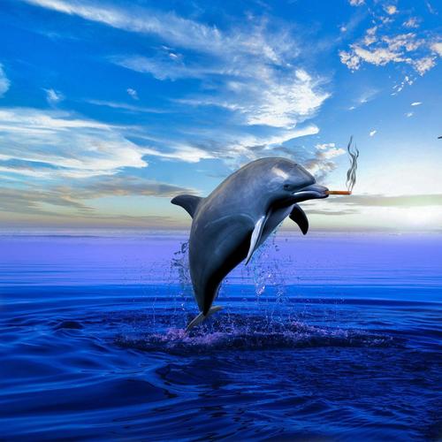 Fishy Dinero (Explicit)