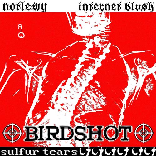 BIRDSHOT (Explicit)