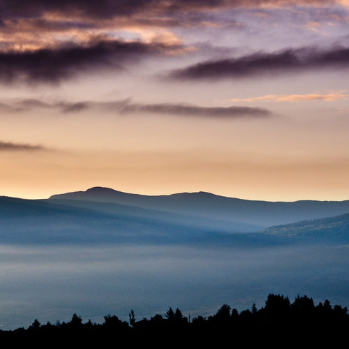 问情（烟嗓版）
