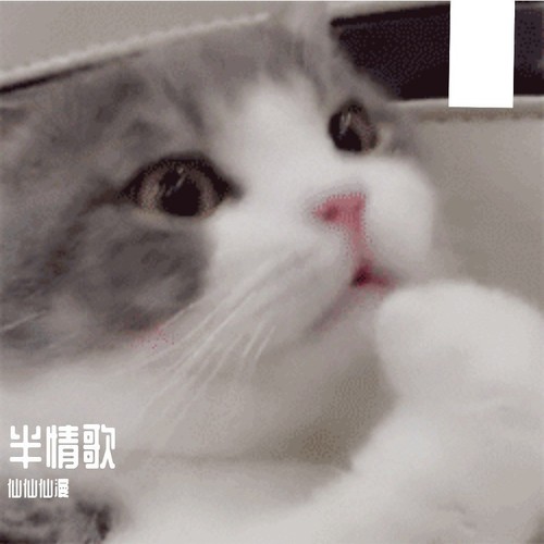 半情歌