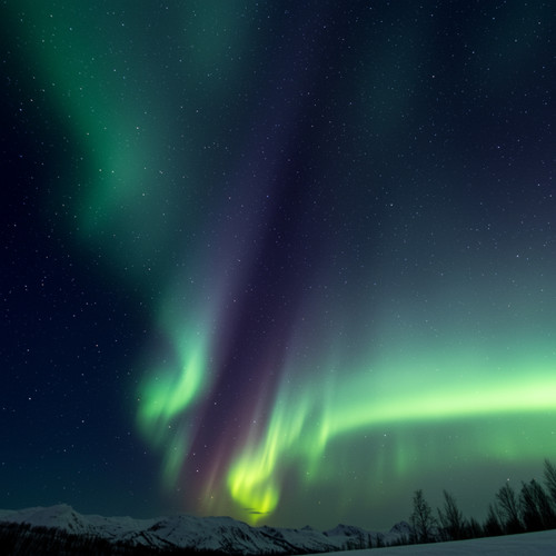 Golden Harmonics for Restoration