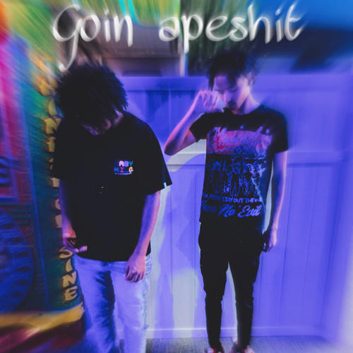 goin apeshit (feat. BMBSleeze & IMB Kave) [Explicit]