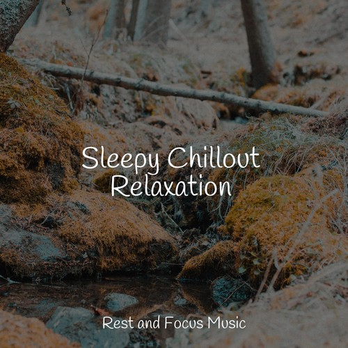 Sleepy Chillout Relaxation