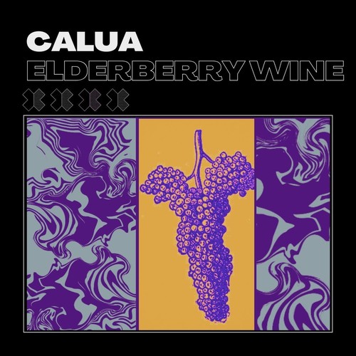 Elderberry Wine