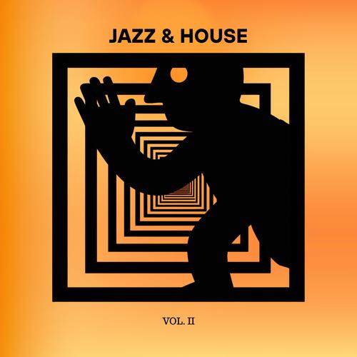 JAZZ & HOUSE, Vol. 2