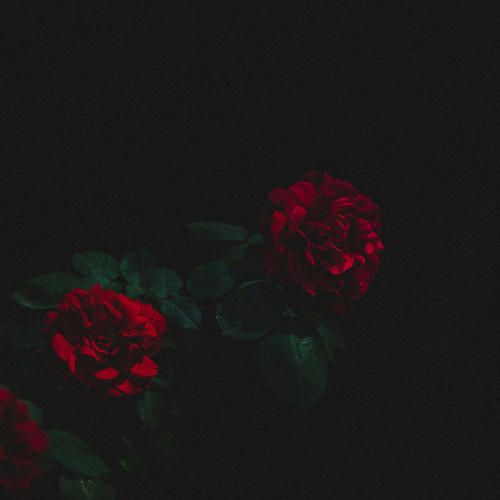 ZUMH CANG (Explicit)