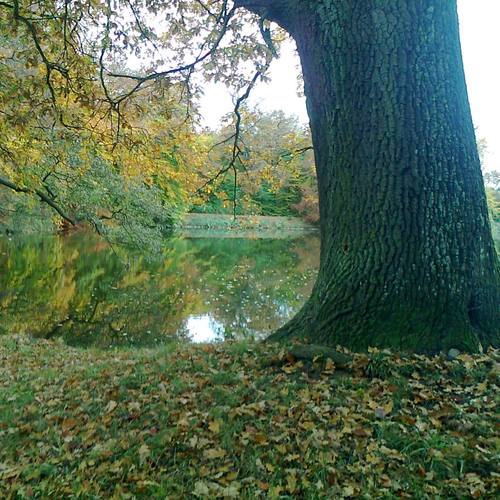 Words Inside My Head (feat. Eva Therse & Niels Lichtenberg)