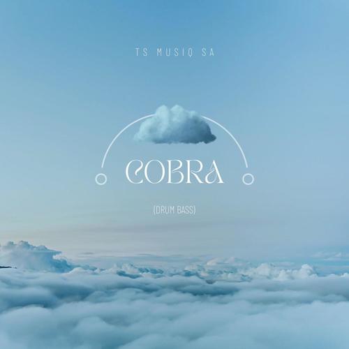 Cobra (feat. TshepZin_SA) [Explicit]