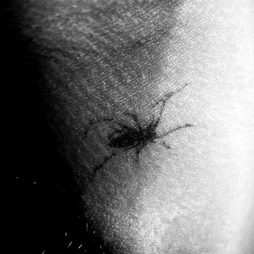 seven weeks (Explicit)