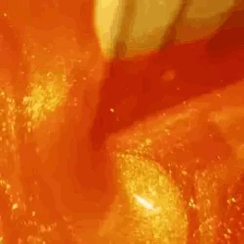 Bury Me in Marigold! (Explicit)