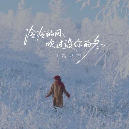 冷冷的风吹过没你的冬