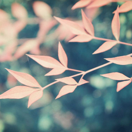 纸短情长（女声钢琴版）