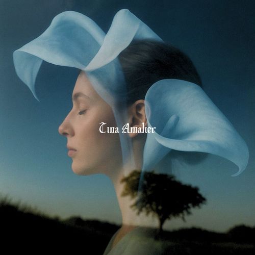 Awen Invocation at Stone Circle