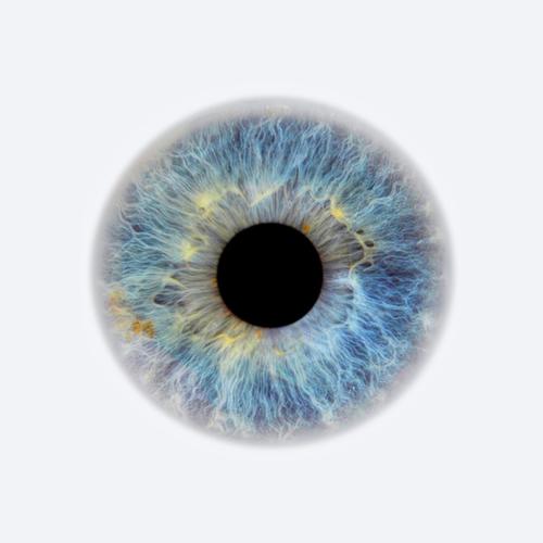 Wach (feat. Jolene Schneeweiss)