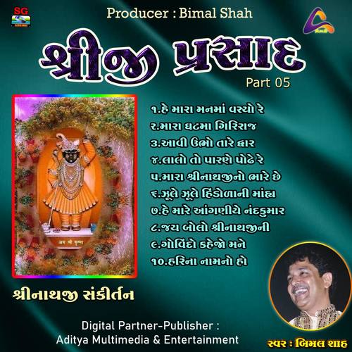 Shreeji Prasad - Shreenathji Sankirtan, Pt. 5