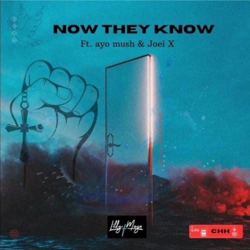 Now They Now (feat. ayo mush & JoeiX)