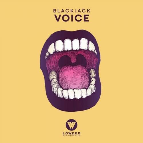 Voice (声音)