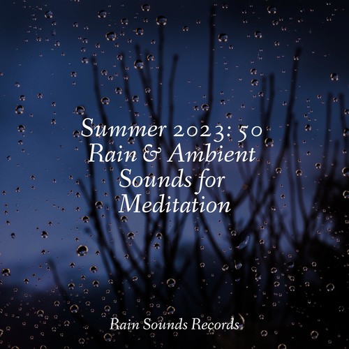 Summer 2023: 50 Rain & Ambient Sounds for Meditation