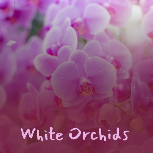 White Orchids (Explicit)