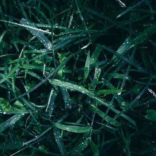 The Ball Is in One's Court