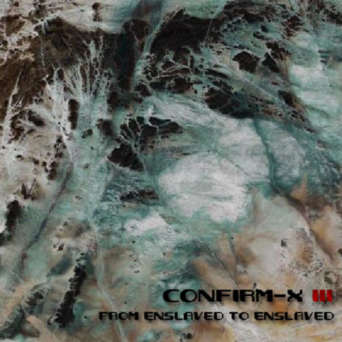 ConFirm-X III: 从奴役到奴役