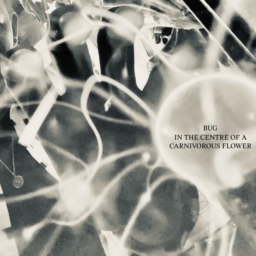 In The Centre Of A Carnivorous Flower (Explicit)