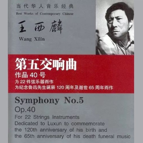为22件弦乐器而作-第五交响曲
