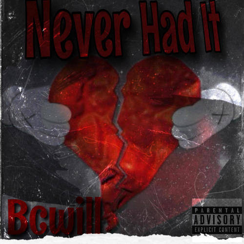 Never Had It (Explicit)