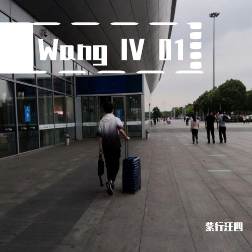Wang IV 01
