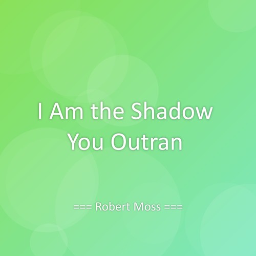 I Am the Shadow You Outran