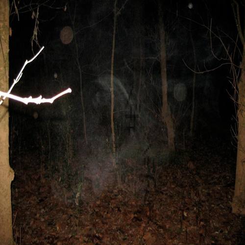 january sample 2020[0]