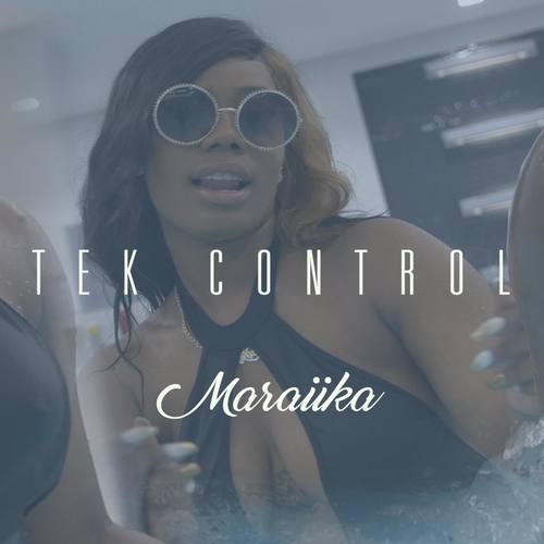 Tek Control