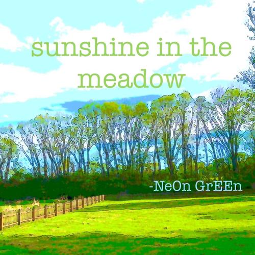 sunshine in the meadow