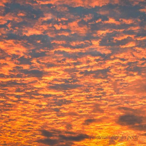 J'aimerais être un poète (Explicit)