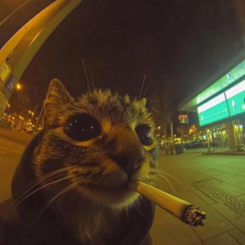 Pull up in the night